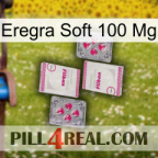 Eregra Soft 100Mg 33